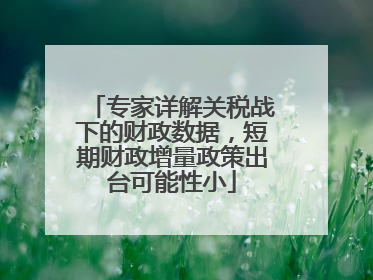 专家详解关税战下的财政数据，短期财政增量政策出台可能性小